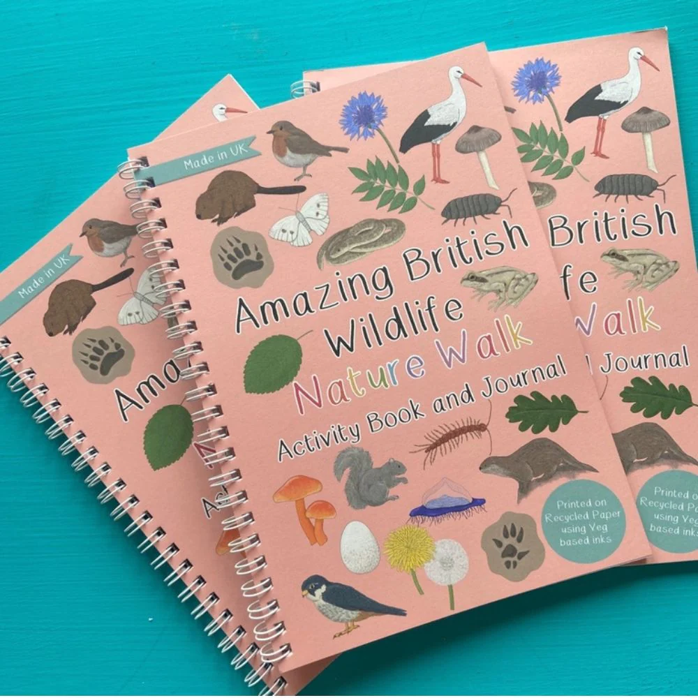 Amazing British Nature Walk Activity Book and Nature Journal