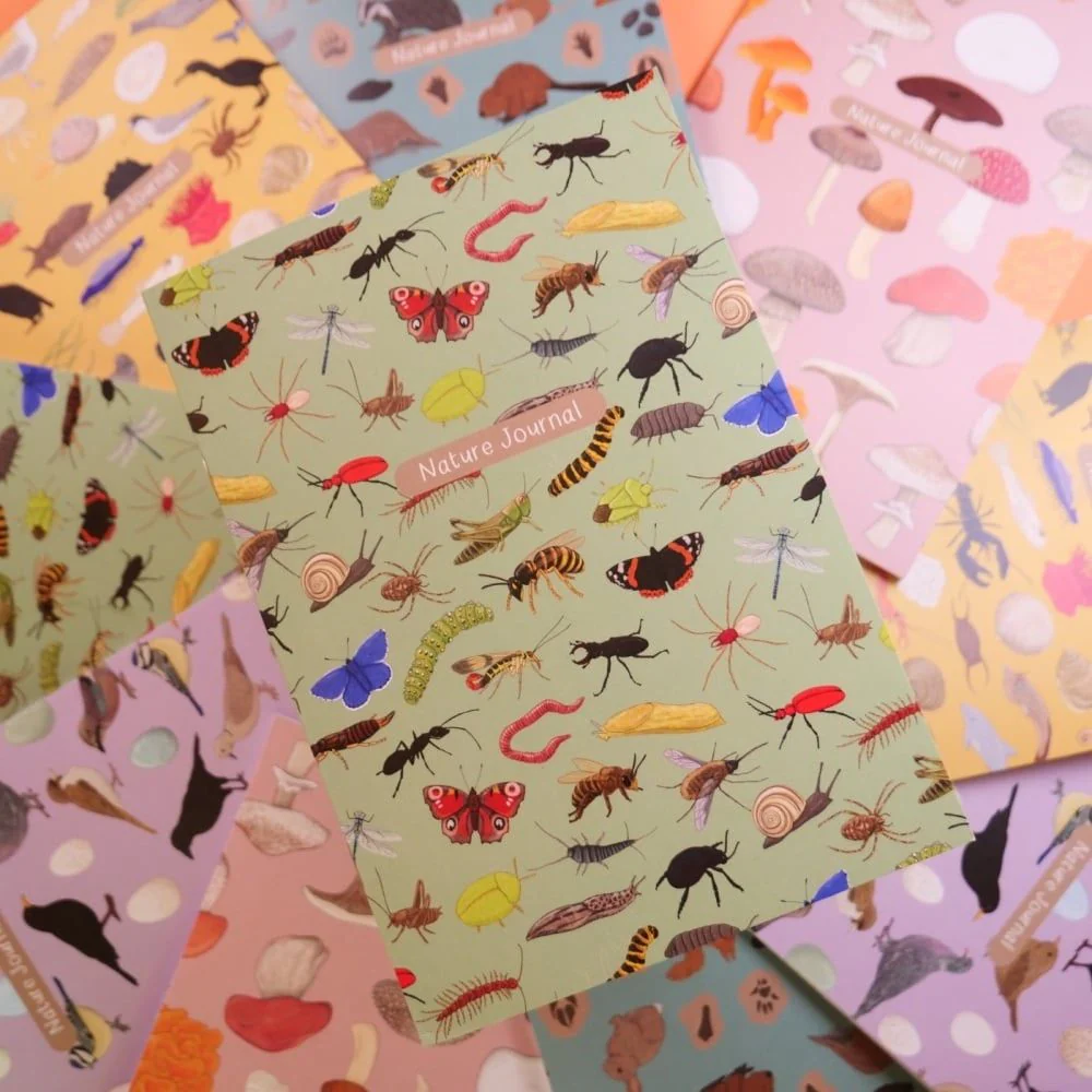 Gifts For Kids - Nature Themed Subscription Box - Image 3